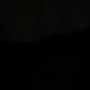 Meet your Posher, Marlene